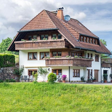 Schreinerhaeusle Naehe Titisee Himmelreich 外观 照片