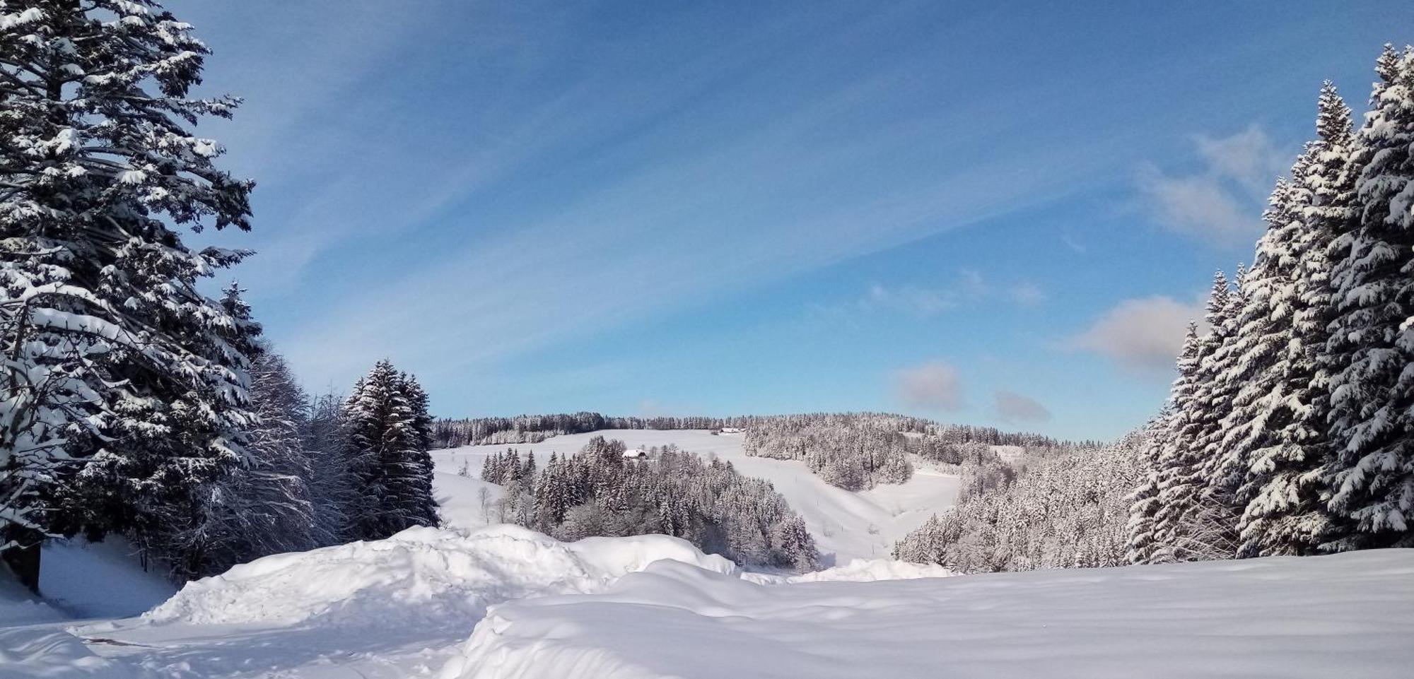 Schreinerhaeusle Naehe Titisee Himmelreich 外观 照片