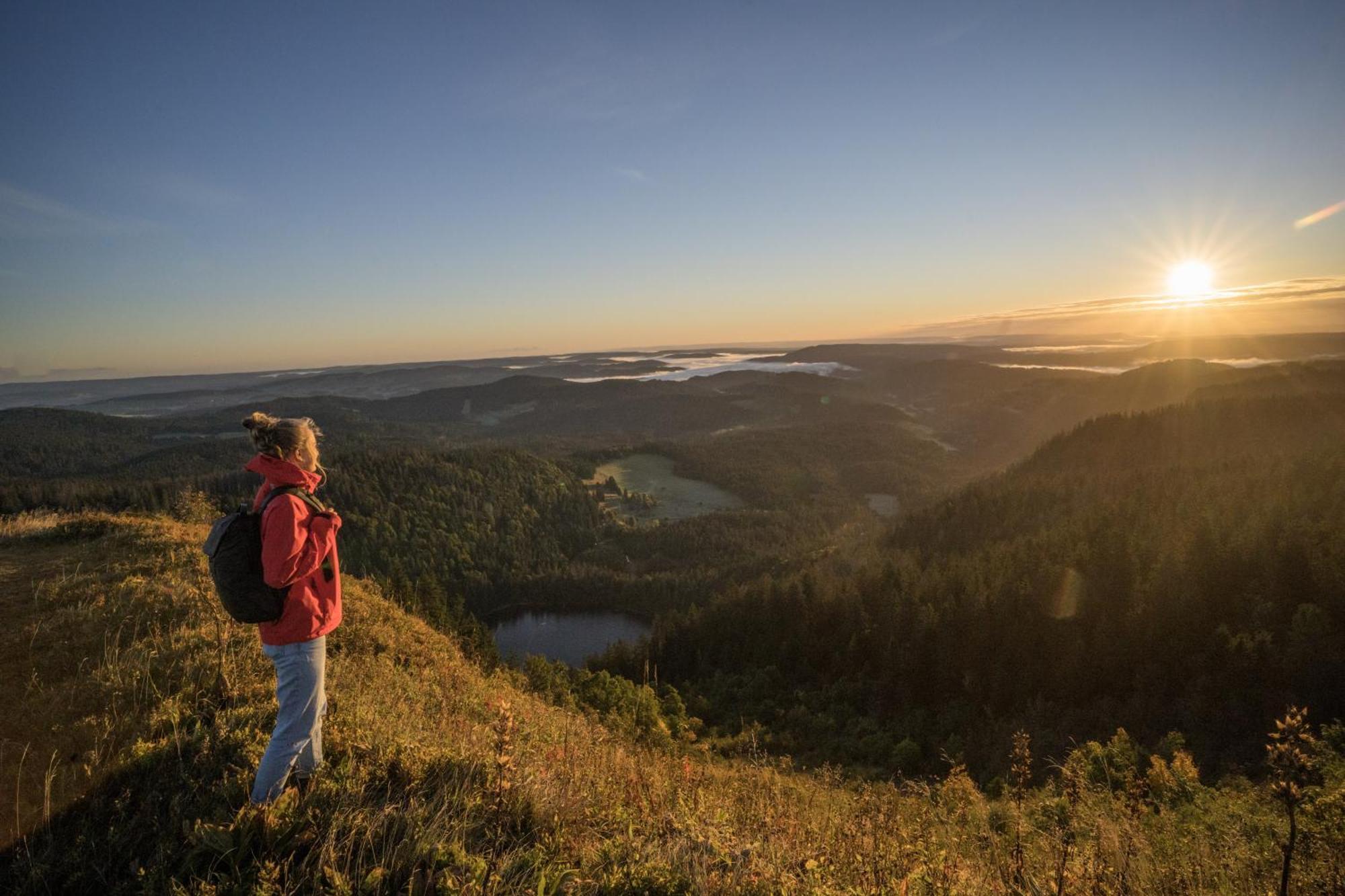Schreinerhaeusle Naehe Titisee Himmelreich 外观 照片