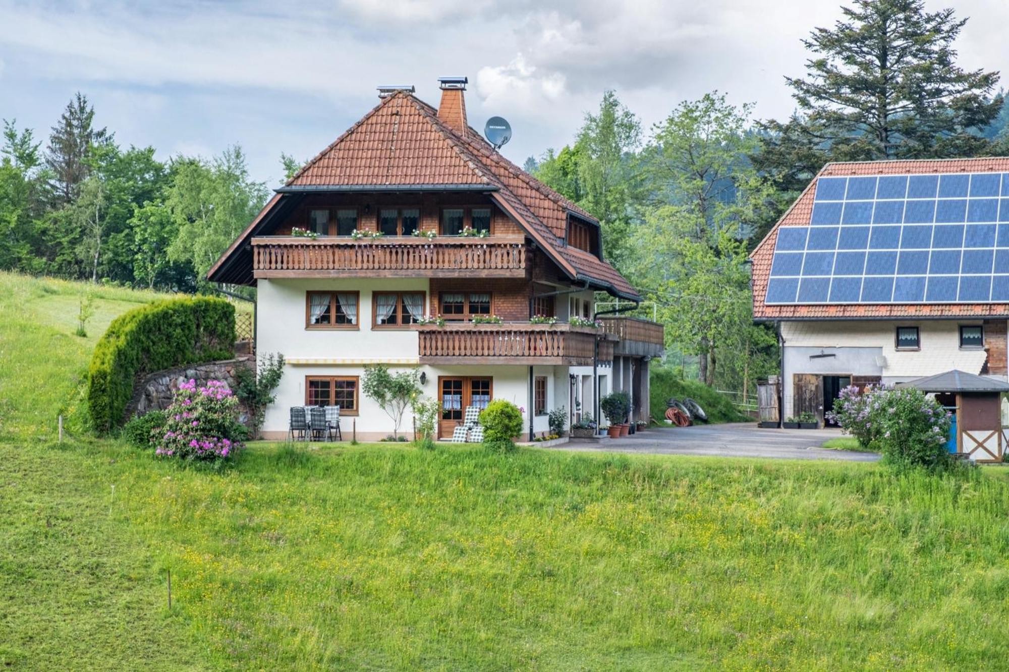 Schreinerhaeusle Naehe Titisee Himmelreich 外观 照片