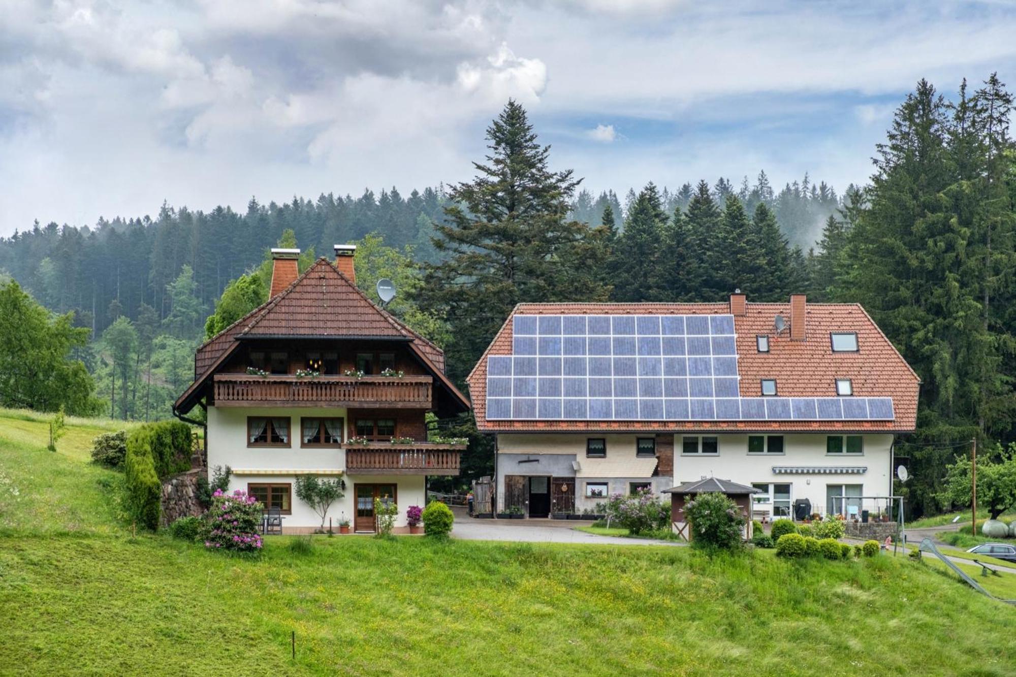 Schreinerhaeusle Naehe Titisee Himmelreich 外观 照片