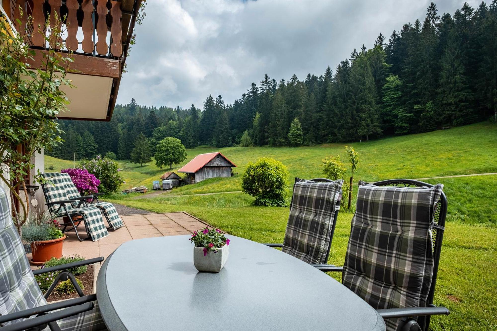 Schreinerhaeusle Naehe Titisee Himmelreich 外观 照片
