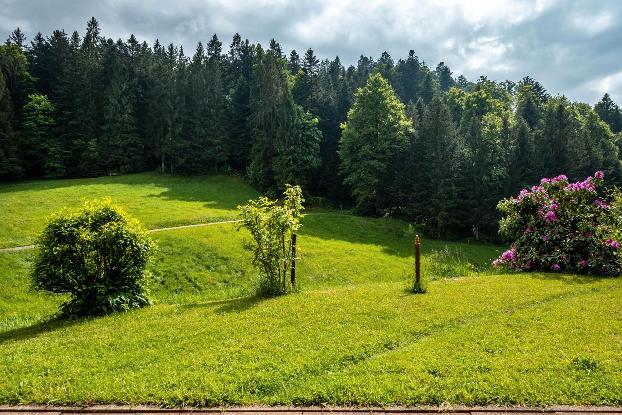 Schreinerhaeusle Naehe Titisee Himmelreich 外观 照片