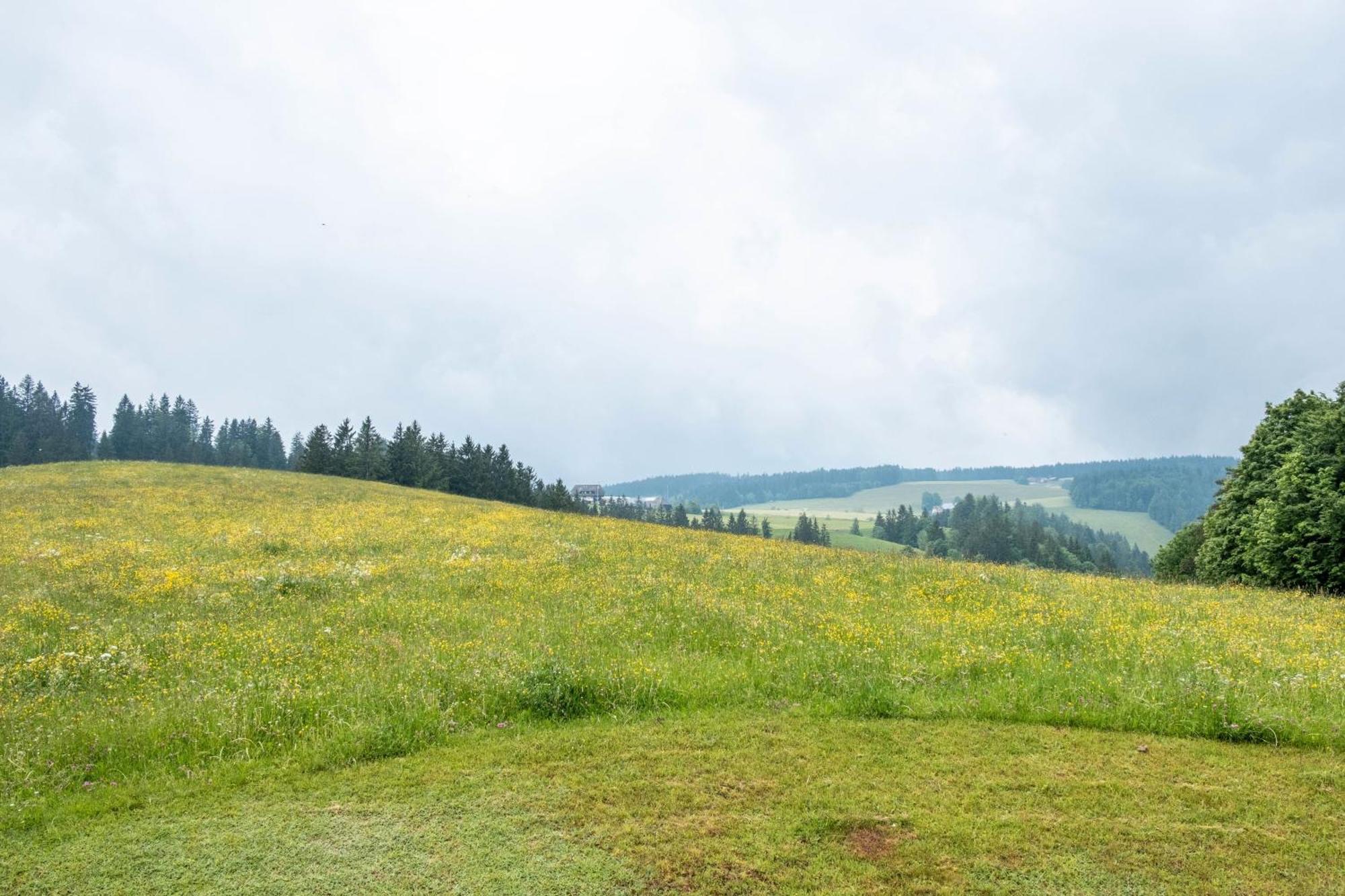 Schreinerhaeusle Naehe Titisee Himmelreich 外观 照片